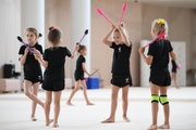 Young gymnasts during a training session