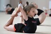 A gymnast during the workout