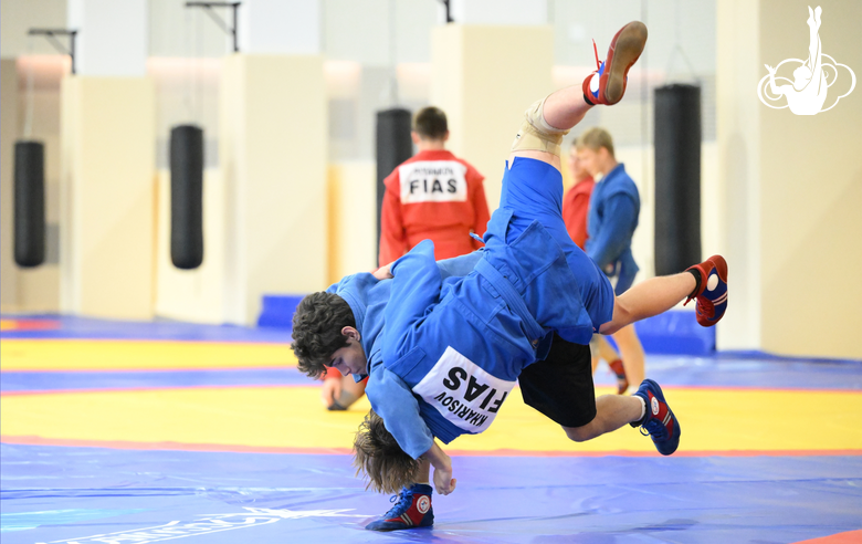 С Днем самбо!