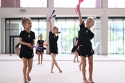 Young gymnasts during a training session