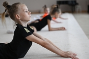 A gymnast during the workout