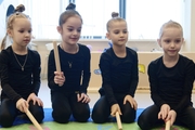 Young gymnasts in class