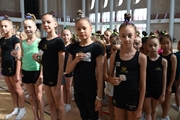 Training camp for the Amur Tiger gymnasts at the Academy