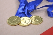 Medals of the mAlinka tournament