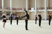 Young gymnasts during the workout