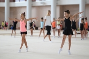 Gymnasts during practice at the training camp in the Academy