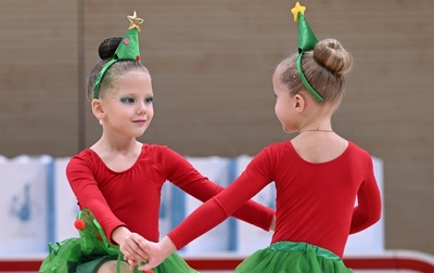 Новогодняя елка, 2025