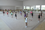 Gymnasts from the Amur Tiger society  during training at the Academy