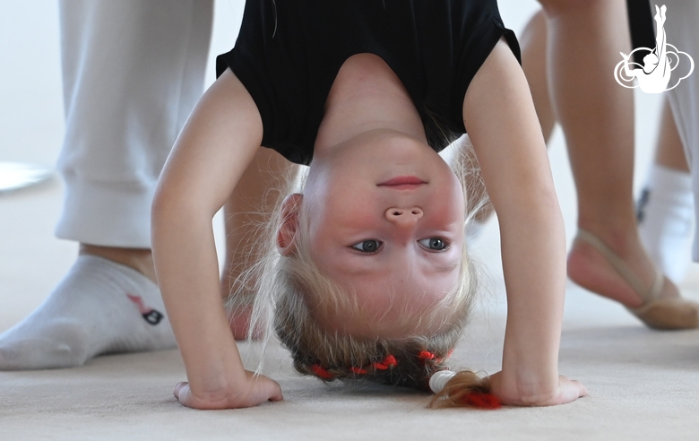 Young gymnasts during training