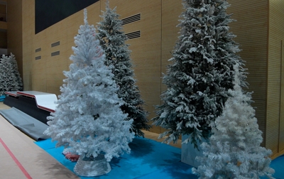 The New Year fairy-tale is gradually coming to the Academy!