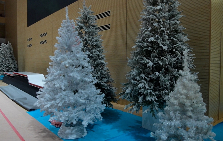 The New Year fairy-tale is gradually coming to the Academy!