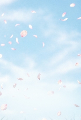 Результаты многоборья по программе сениорок на первом этапе «Кубка сильнейших»