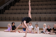 A young gymnast during the selection