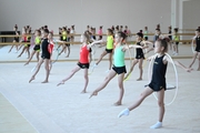 Gymnasts from the Amur Tiger society during training at the Academy