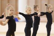 Young gymnasts during the workout