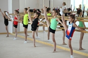 Gymnasts from the Amur Tiger society during training at the choreography hall