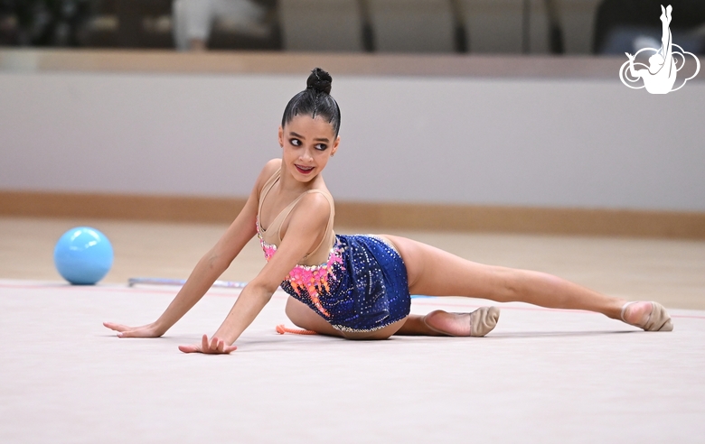 Gymnast during an exercise