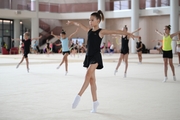 Gymnasts during practice at the training camp in the Academy
