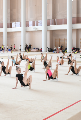 Training camp for gymnasts from different Russian regions is under way at the Academy