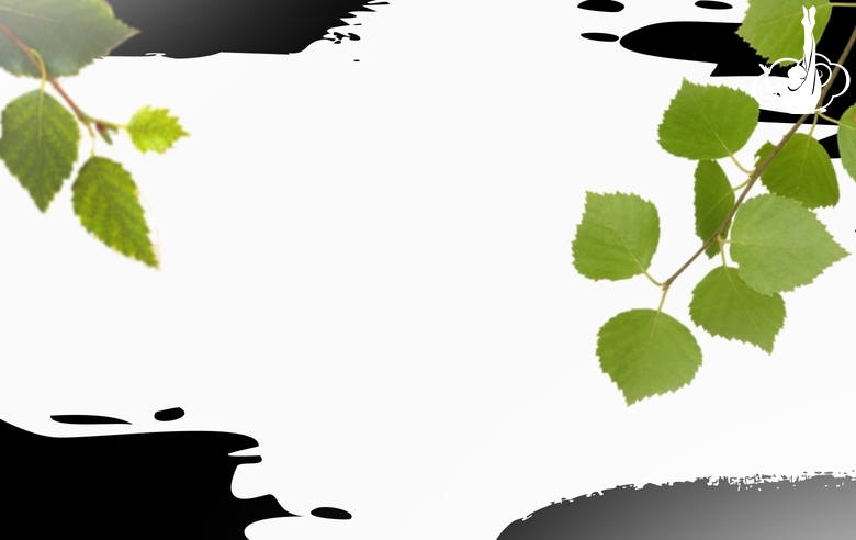 Топ-10 лучших гимнасток 2-го разряда в многоборье на соревнованиях «Березка» в Иванове