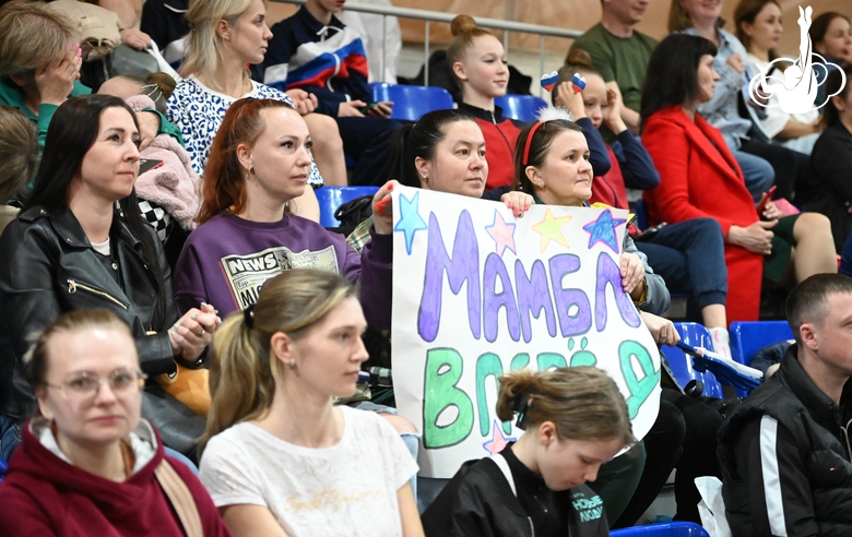 Spectators watch gymnasts perform