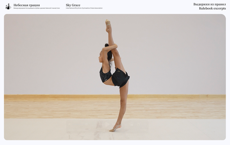 "Rulebook excerpts". Asel Arapova's balance