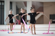 Young gymnasts during a training session