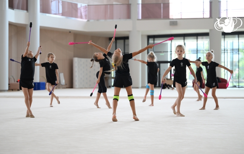 Young gymnasts during a training session