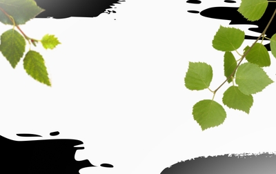 Алиса Шунина примет участие в соревнованиях «Березка», посвященных памяти заслуженного тренера РСФСР Зинаиды Михайловны Матвеевой