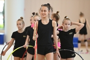 Gymnasts during training