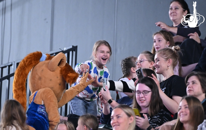 Fans during the competition