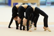 Young gymnasts during the workout