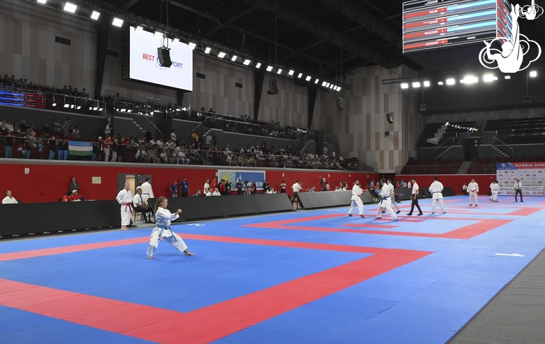 International Karate Tournament RUSSIA OPEN at the Martial Arts Academy