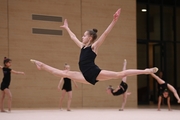 A young gymnast during the selection