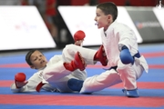 International Karate Tournament RUSSIA OPEN at the Martial Arts Academy