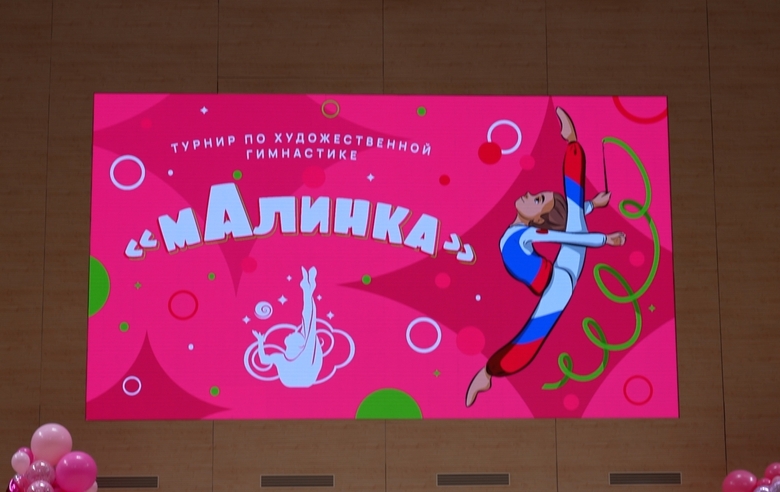 Interview with the participants of the mAlinka competition