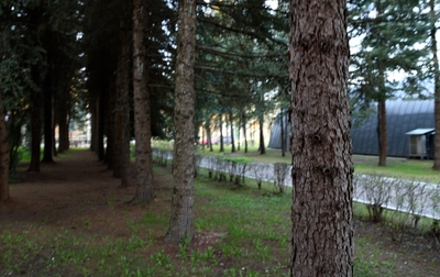 The fifth episode of the "Alina. Novogorsk" series