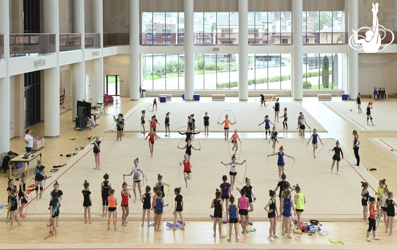 Gymnasts in the Academy's training hall