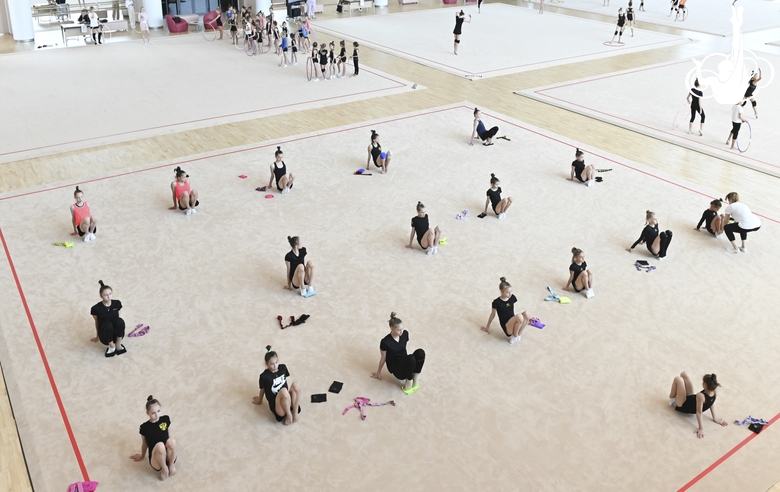 Gymnasts during a training session