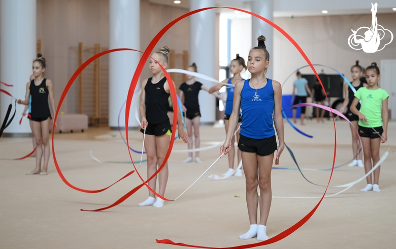 Gymnasts during practice at the training camp in the Academy