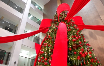 Каким был 2025 год для юных спортсменов из Академии единоборств?