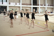 Gymnasts during a master-class