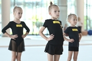 Young gymnasts during a lesson