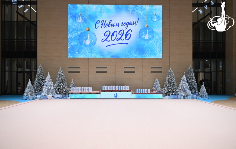 Оформление зала Академии во время новогодней елки