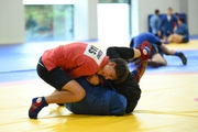 Participants of the training camp during training at the Martial Arts Academy