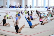 Gymnasts from the Amur Tiger society during a work-out at the Academy