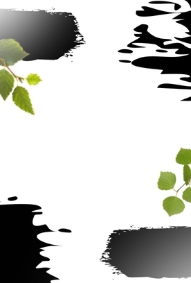 Топ-10 лучших гимнасток 2-го разряда в многоборье на соревнованиях «Березка» в Иванове