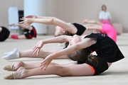 A gymnast during the workout